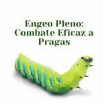 Pragas e insetos floral post instagram