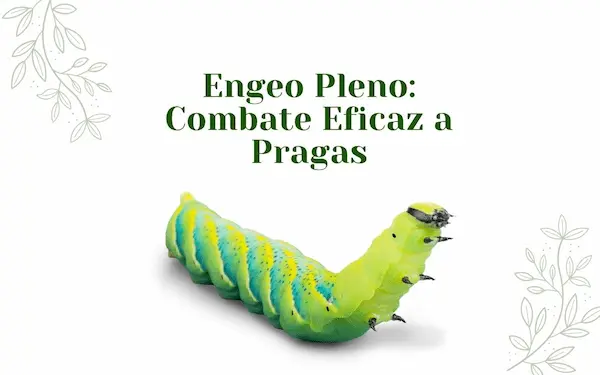 Engeo Pleno: Combate Eficaz a Pragas na Agricultura e Seus Benefícios 2 Pragas e insetos floral post instagram