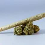 manconha pineapple