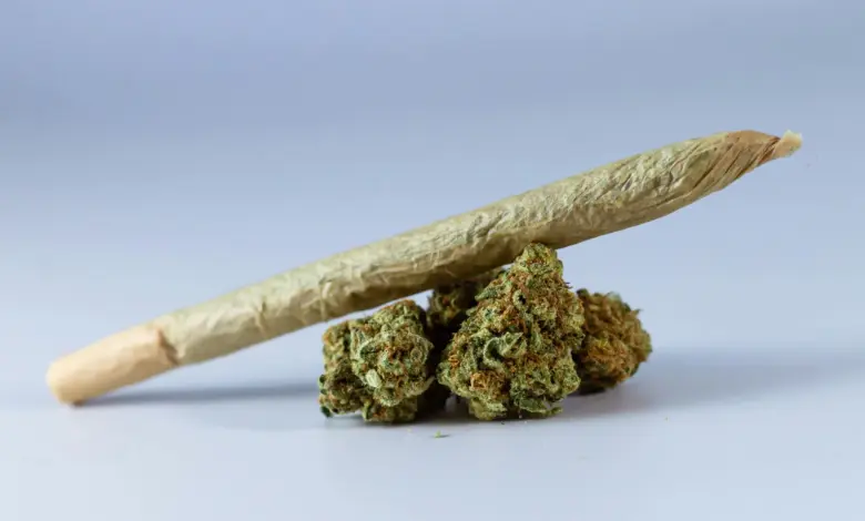 Pineapple Express: a strain que virou ícone da cultura canábica 1 manconha pineapple