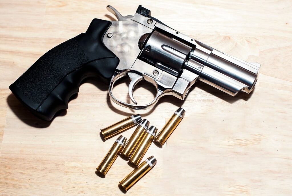 revolver 22 inox